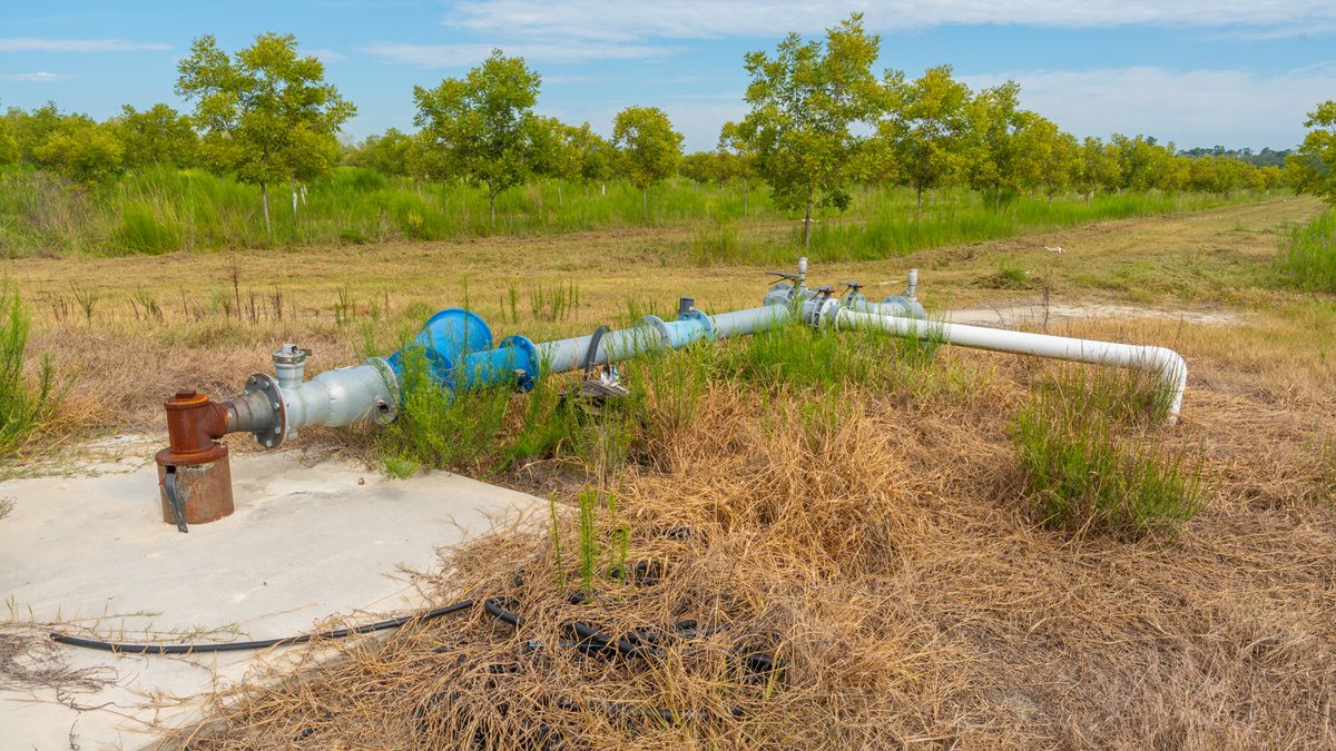 Image for 1,154± Acres - Patten Orchard - Premium Irrigated Pecan Operation - Long-Term Orchard Income w/ Improvements - Merchantable Timber Stand & Creek Frontage