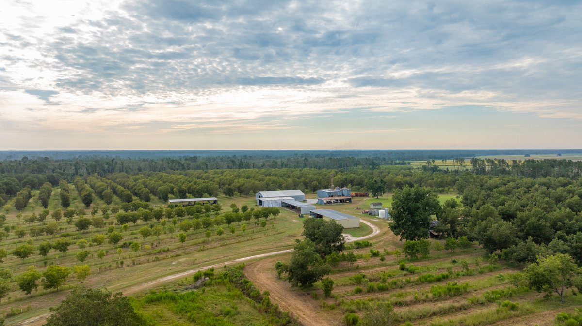 Image for 1,154± Acres - Patten Orchard - Premium Irrigated Pecan Operation - Long-Term Orchard Income w/ Improvements - Merchantable Timber Stand & Creek Frontage