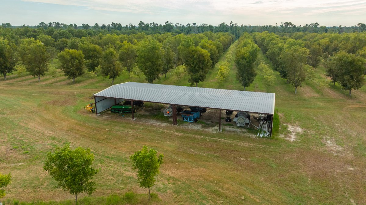 Image for 1,154± Acres - Patten Orchard - Premium Irrigated Pecan Operation - Long-Term Orchard Income w/ Improvements - Merchantable Timber Stand & Creek Frontage