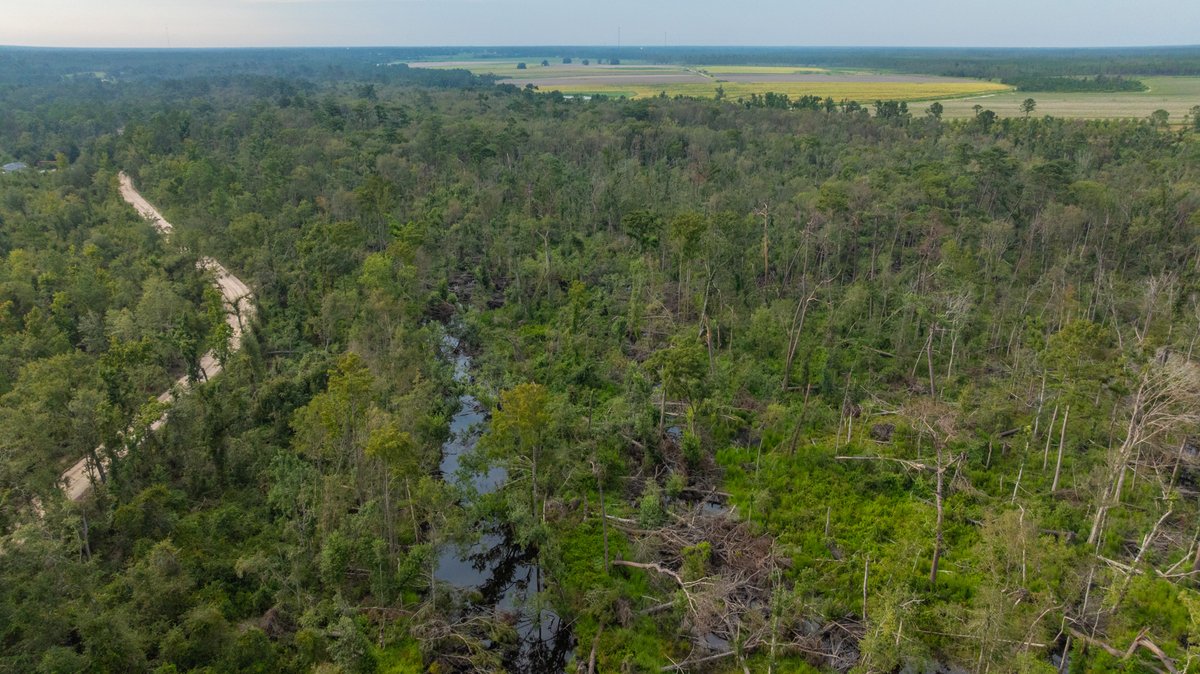 Image for 1,154± Acres - Patten Orchard - Premium Irrigated Pecan Operation - Long-Term Orchard Income w/ Improvements - Merchantable Timber Stand & Creek Frontage