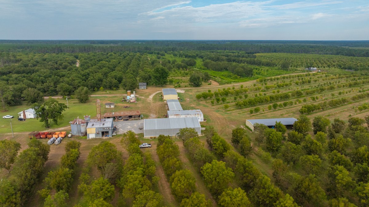 Image for 1,154± Acres - Patten Orchard - Premium Irrigated Pecan Operation - Long-Term Orchard Income w/ Improvements - Merchantable Timber Stand & Creek Frontage