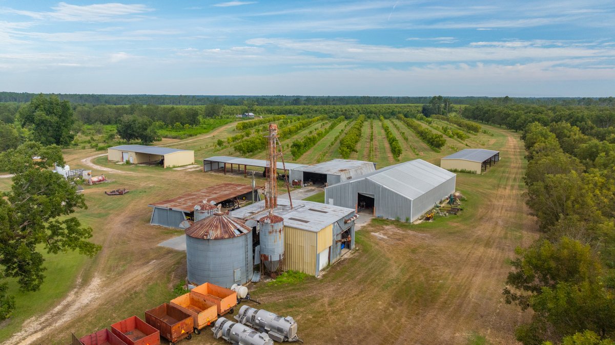 Image for 1,154± Acres - Patten Orchard - Premium Irrigated Pecan Operation - Long-Term Orchard Income w/ Improvements - Merchantable Timber Stand & Creek Frontage