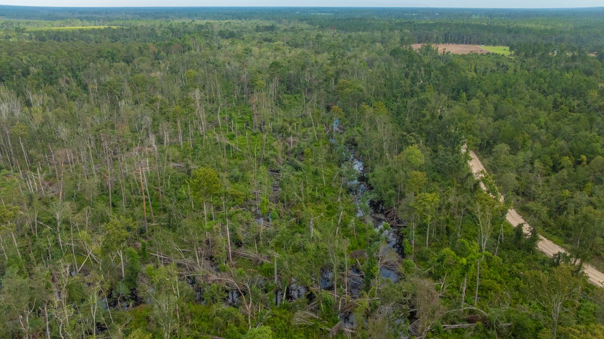 Image for 1,154± Acres - Patten Orchard - Premium Irrigated Pecan Operation - Long-Term Orchard Income w/ Improvements - Merchantable Timber Stand & Creek Frontage