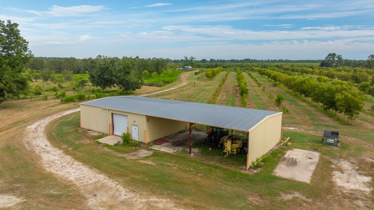 Image for 1,154± Acres - Patten Orchard - Premium Irrigated Pecan Operation - Long-Term Orchard Income w/ Improvements - Merchantable Timber Stand & Creek Frontage