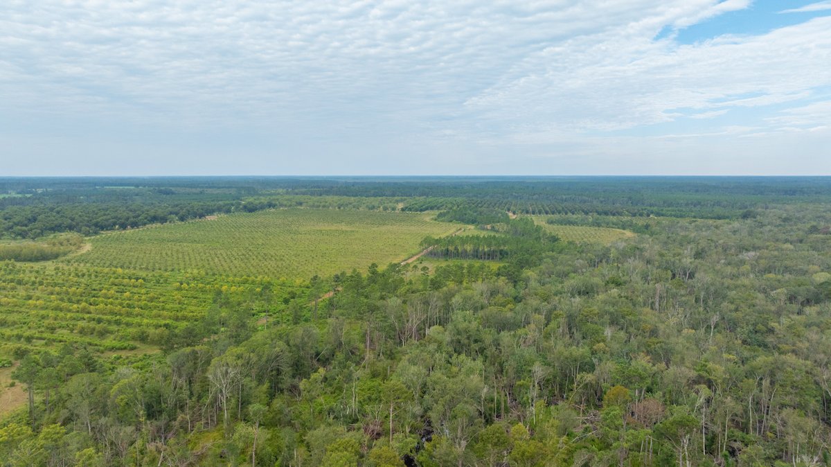 Image for 1,154± Acres - Patten Orchard - Premium Irrigated Pecan Operation - Long-Term Orchard Income w/ Improvements - Merchantable Timber Stand & Creek Frontage