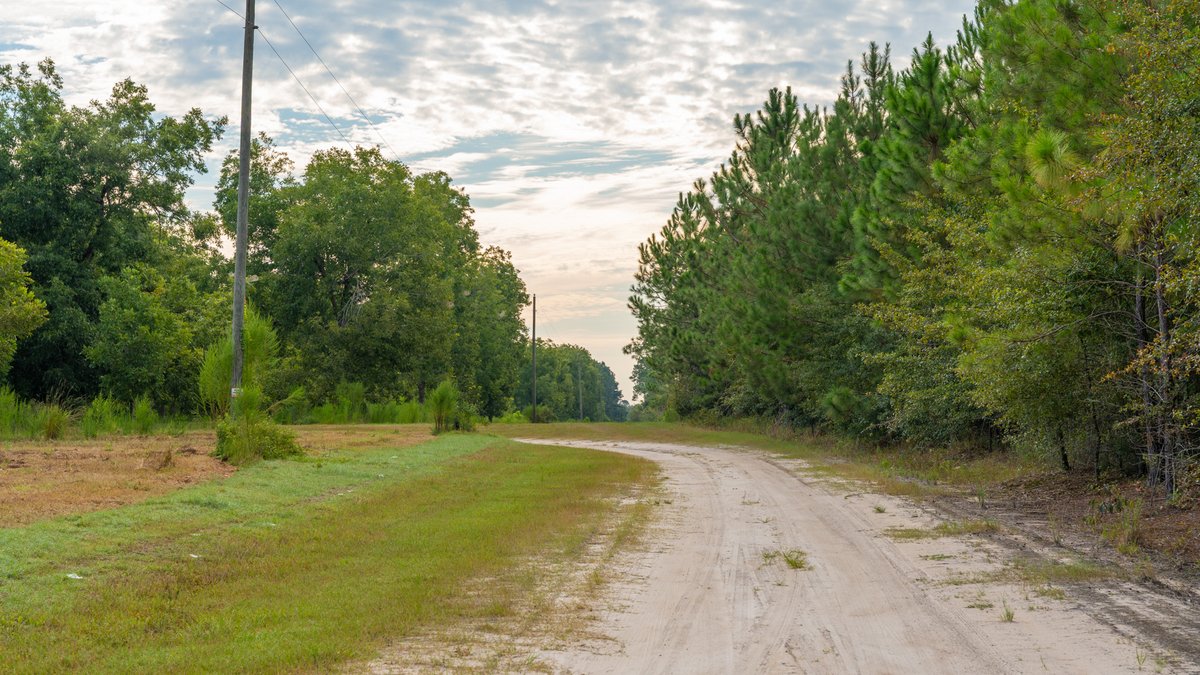 Image for 1,154± Acres - Patten Orchard - Premium Irrigated Pecan Operation - Long-Term Orchard Income w/ Improvements - Merchantable Timber Stand & Creek Frontage