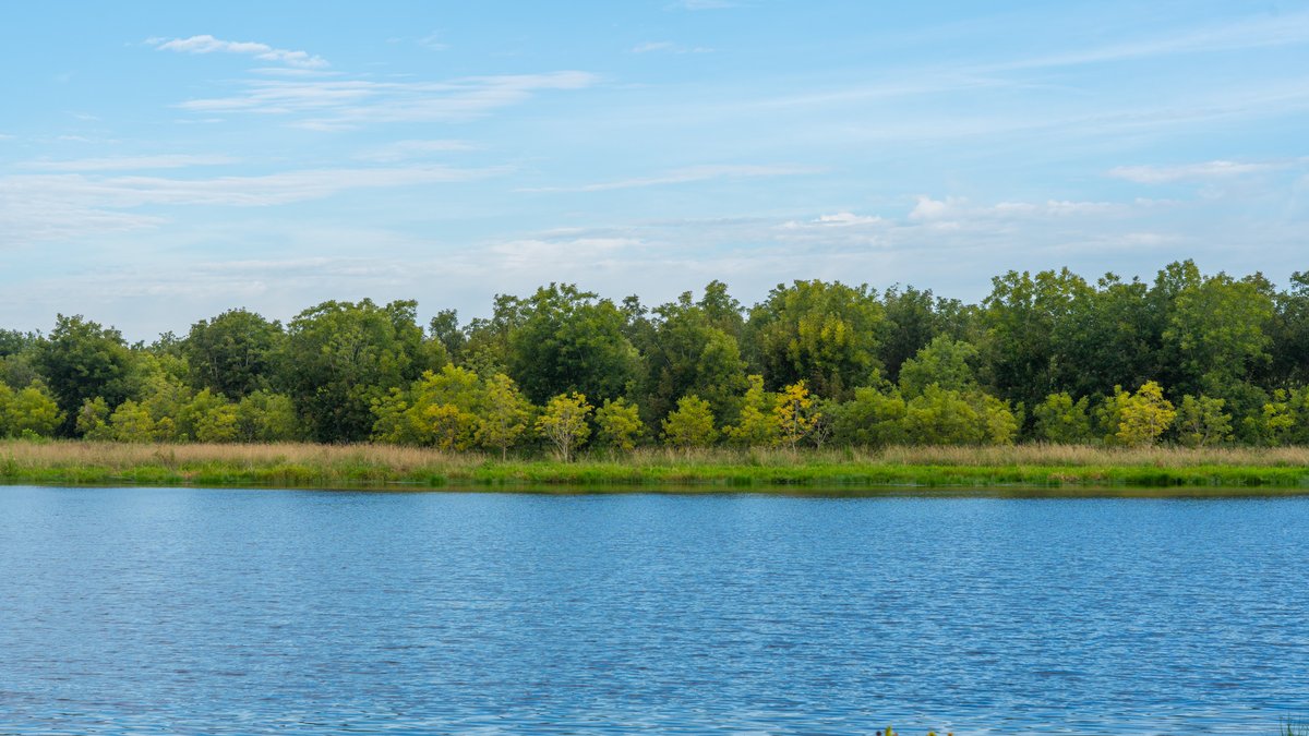 Image for 1,154± Acres - Patten Orchard - Premium Irrigated Pecan Operation - Long-Term Orchard Income w/ Improvements - Merchantable Timber Stand & Creek Frontage