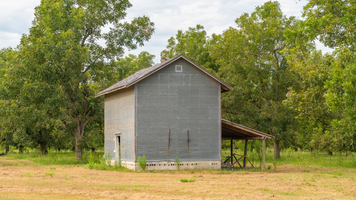 Image for 1,154± Acres - Patten Orchard - Premium Irrigated Pecan Operation - Long-Term Orchard Income w/ Improvements - Merchantable Timber Stand & Creek Frontage