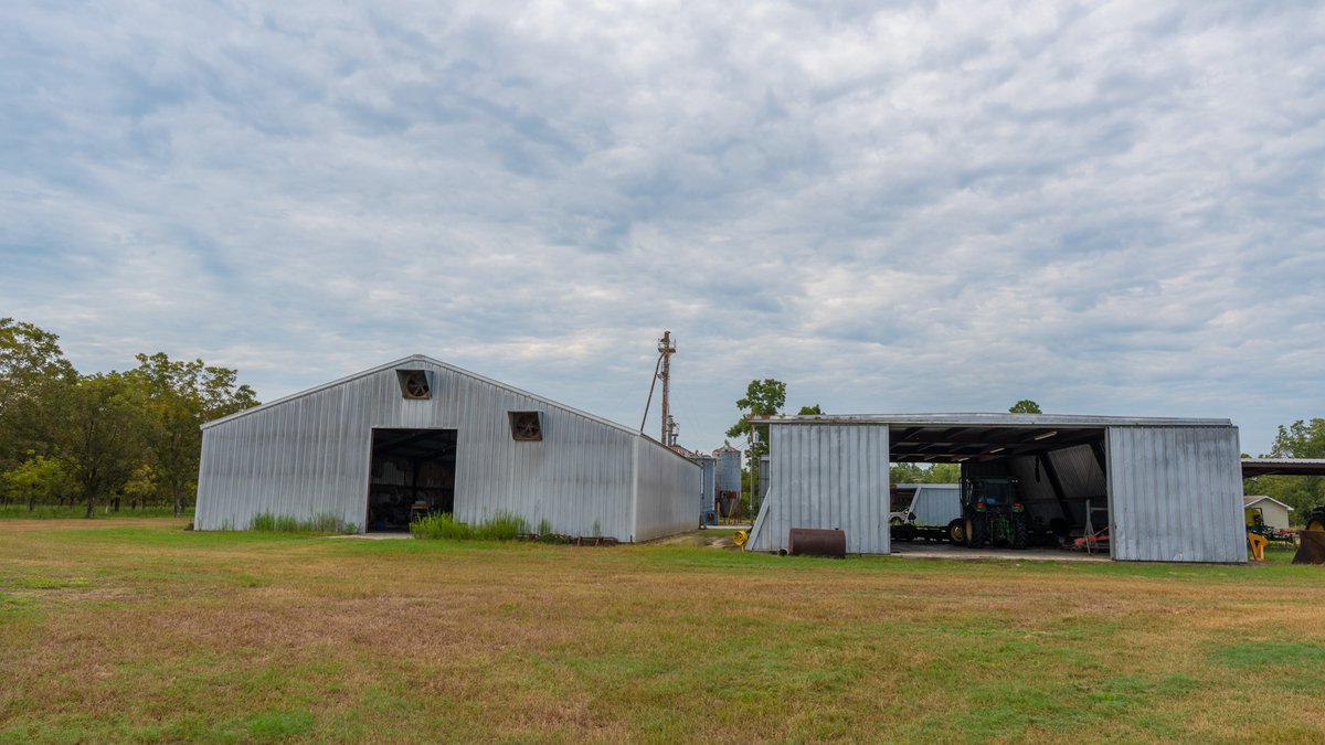 Image for 1,154± Acres - Patten Orchard - Premium Irrigated Pecan Operation - Long-Term Orchard Income w/ Improvements - Merchantable Timber Stand & Creek Frontage