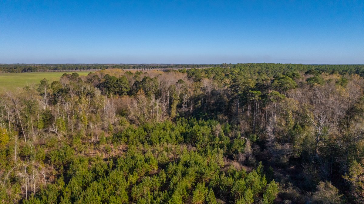 Image for The Autry Farm Property - 160.5+/- Total Acres - Colquitt & Mitchell Counties, Georgia