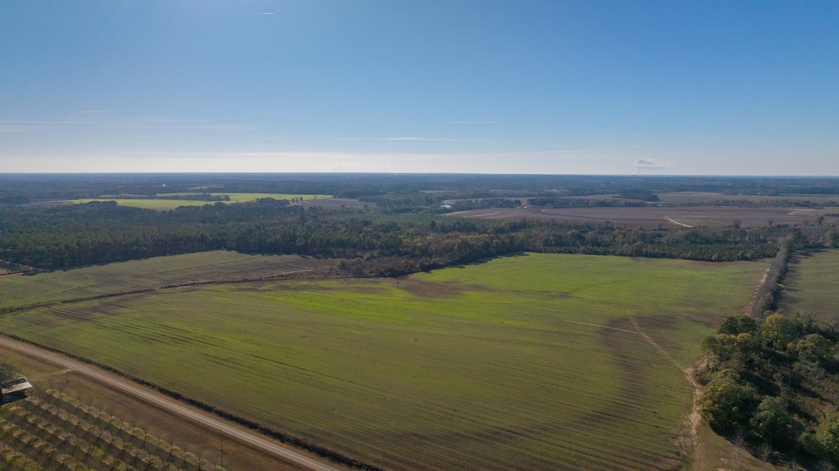 Image for The Autry Farm Property - 160.5+/- Total Acres - Colquitt & Mitchell Counties, Georgia
