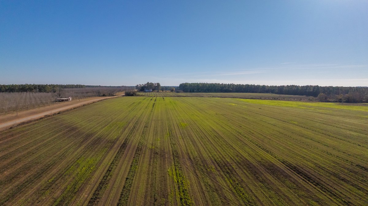 Image for The Autry Farm Property - 160.5+/- Total Acres - Colquitt & Mitchell Counties, Georgia