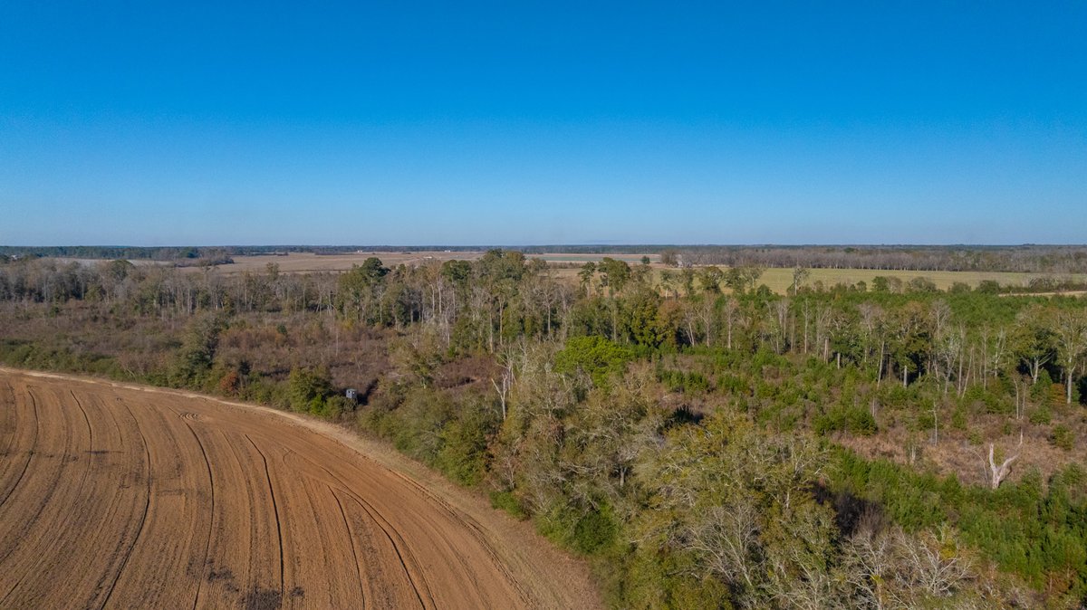 Image for The Autry Farm Property - 160.5+/- Total Acres - Colquitt & Mitchell Counties, Georgia