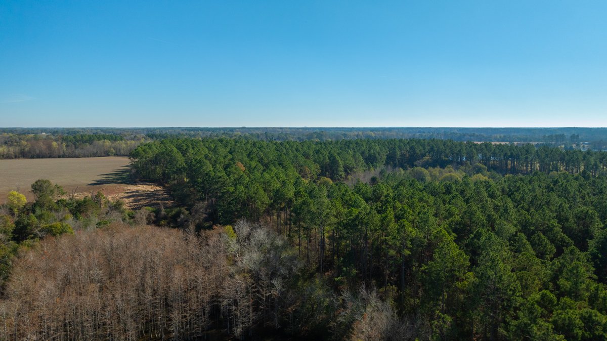Image for Swallow Lane Farm - 157± Acres - Irwin County, Georgia - Income-Producing Row Crop Farmland & Recreational Retreat
