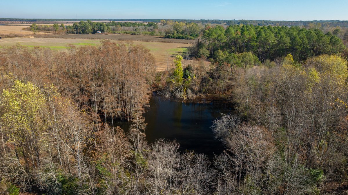 Image for Swallow Lane Farm - 157± Acres - Irwin County, Georgia - Income-Producing Row Crop Farmland & Recreational Retreat