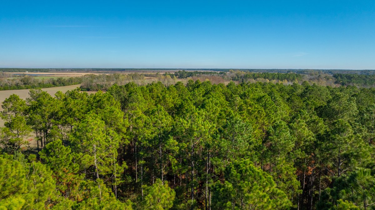 Image for Swallow Lane Farm - 157± Acres - Irwin County, Georgia - Income-Producing Row Crop Farmland & Recreational Retreat