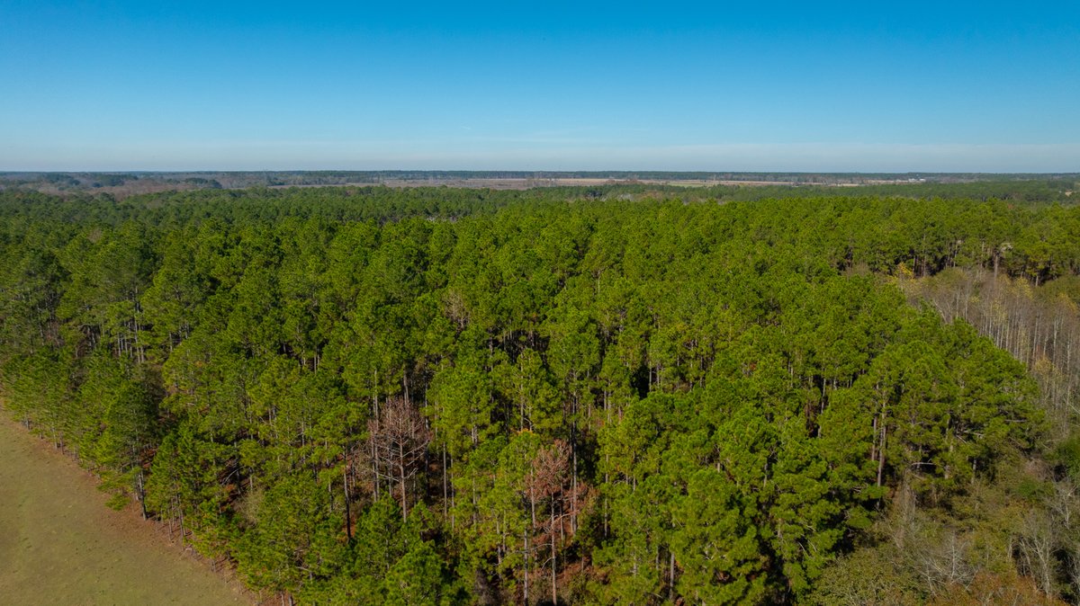 Image for Swallow Lane Farm - 157± Acres - Irwin County, Georgia - Income-Producing Row Crop Farmland & Recreational Retreat