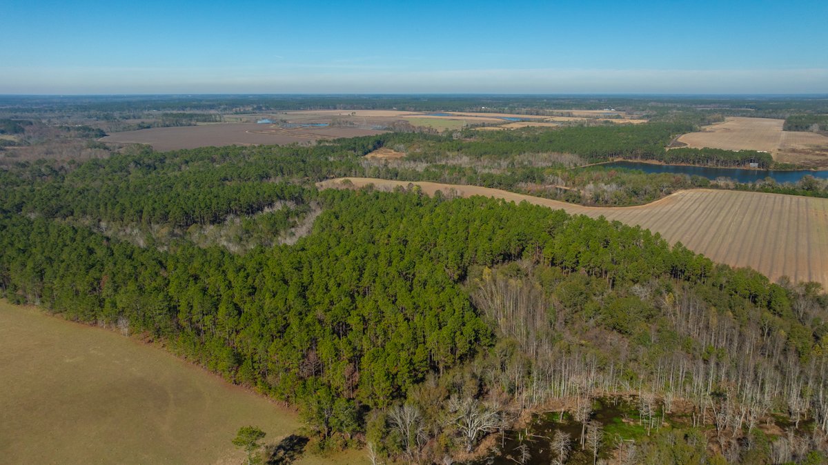 Image for Swallow Lane Farm - 157± Acres - Irwin County, Georgia - Income-Producing Row Crop Farmland & Recreational Retreat