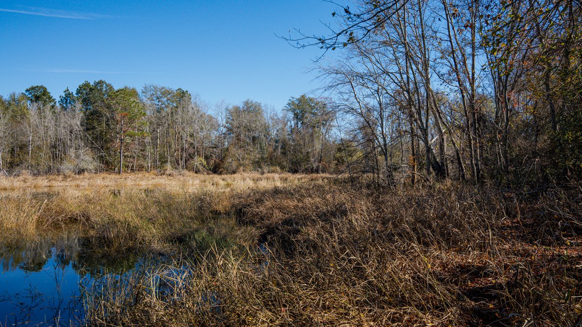 Image for Swallow Lane Farm - 157± Acres - Irwin County, Georgia - Income-Producing Row Crop Farmland & Recreational Retreat