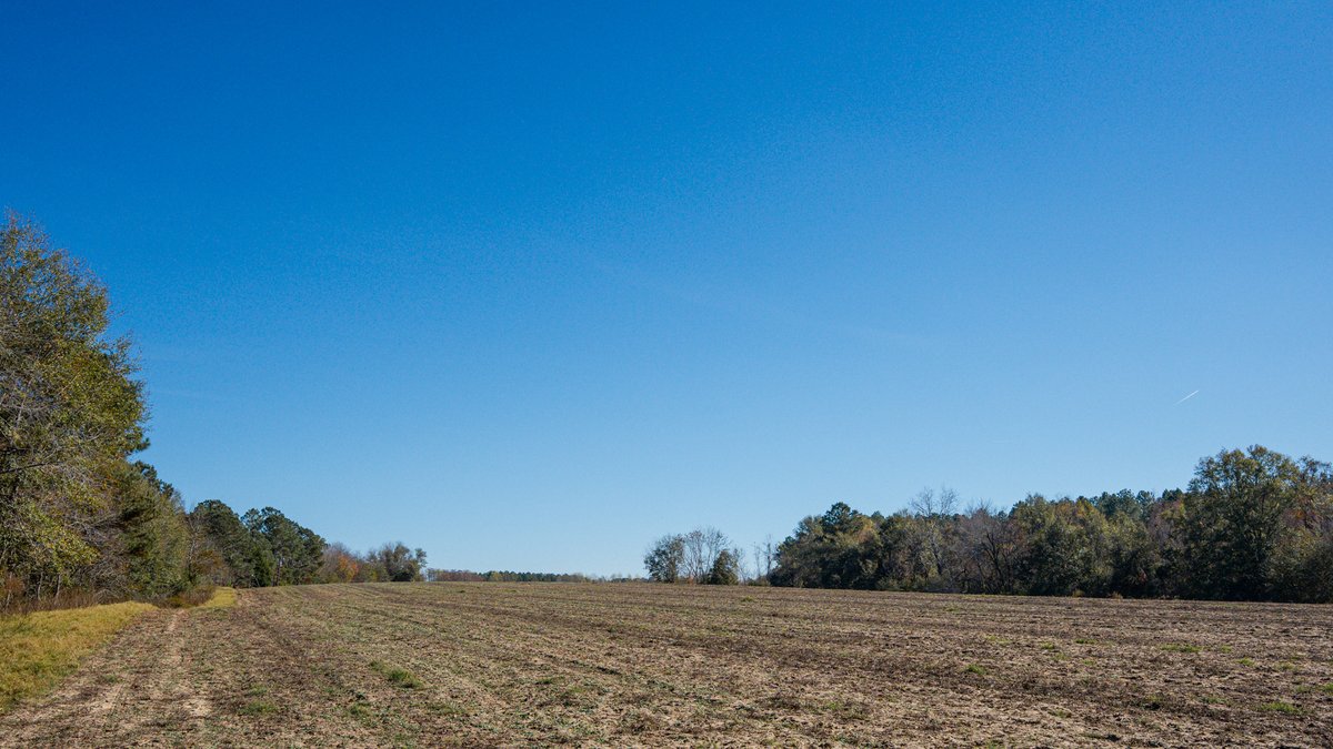 Image for Swallow Lane Farm - 157± Acres - Irwin County, Georgia - Income-Producing Row Crop Farmland & Recreational Retreat