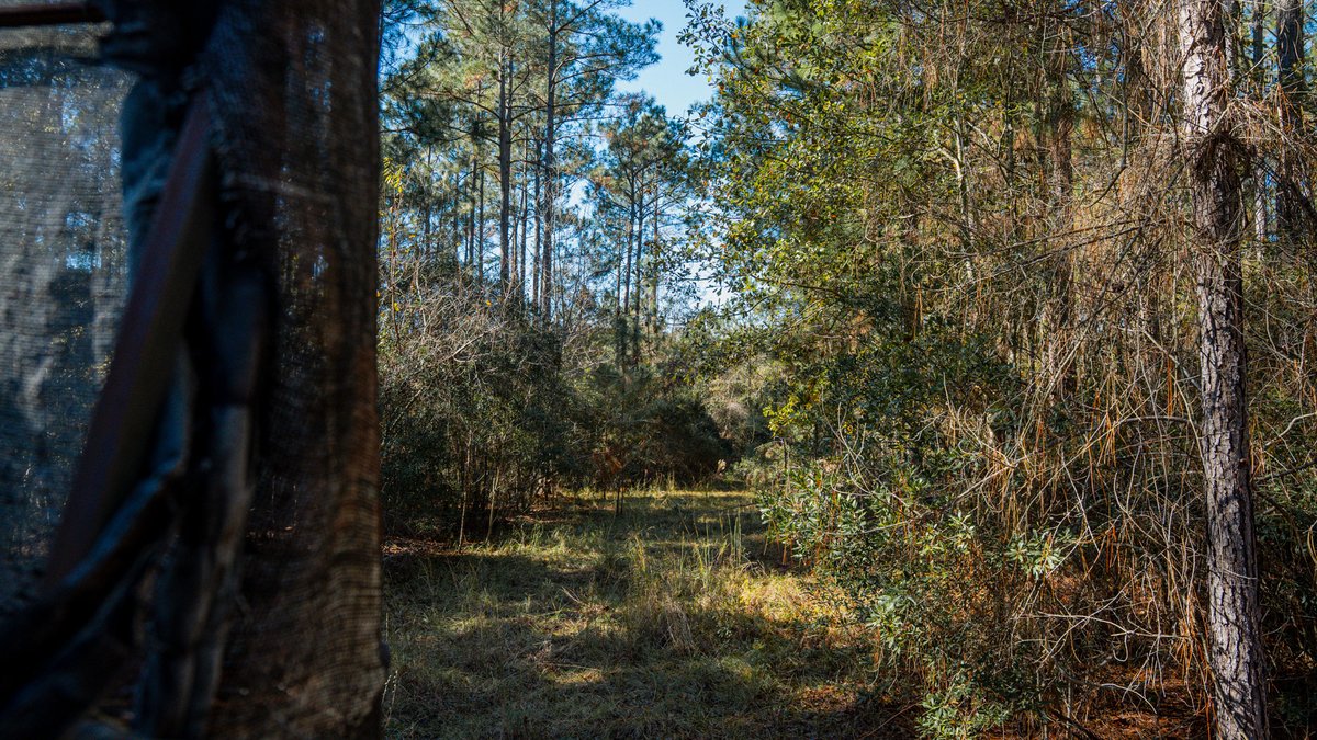 Image for Swallow Lane Farm - 157± Acres - Irwin County, Georgia - Income-Producing Row Crop Farmland & Recreational Retreat