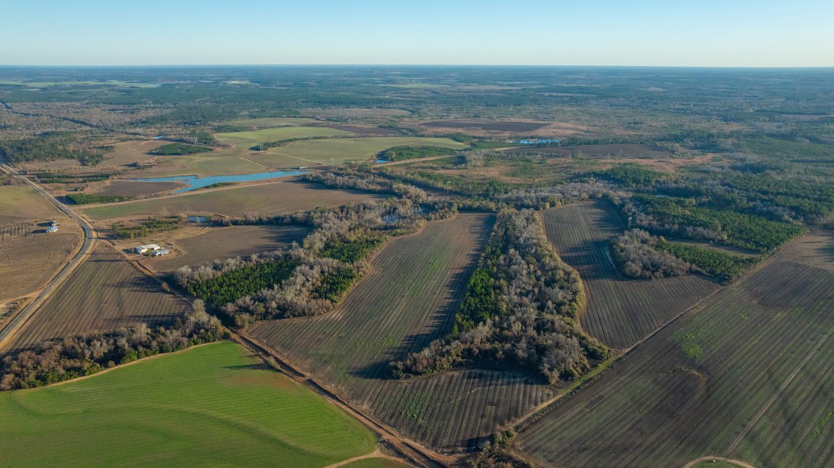 Image for 294+/- Acres – Hester Farm - Exceptional Hunting Opportunity - Versatile Farmland, Timber, & Ponds Offered Divided & as a Whole