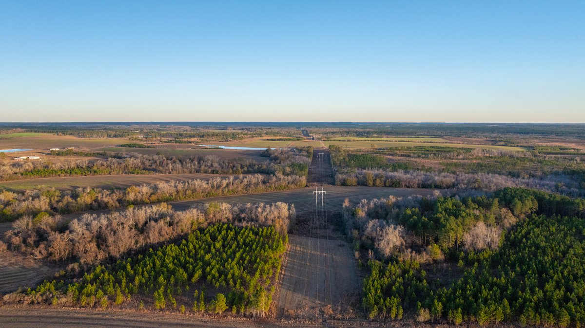 Image for 294+/- Acres – Hester Farm - Exceptional Hunting Opportunity - Versatile Farmland, Timber, & Ponds Offered Divided & as a Whole
