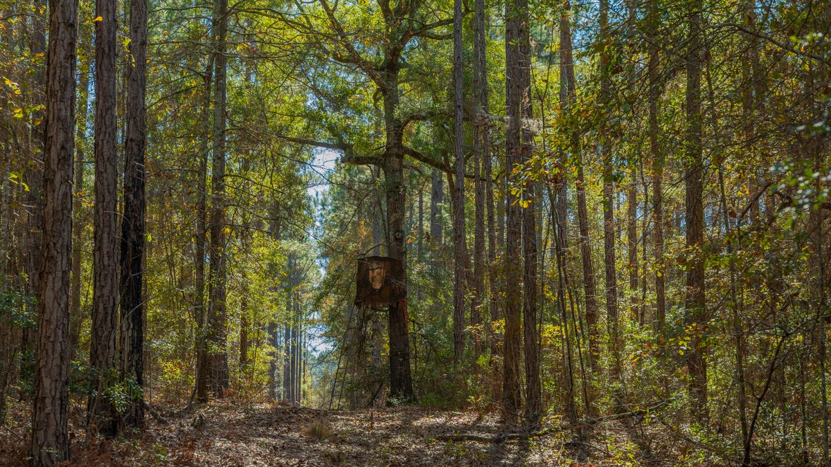 Image for 294+/- Acres – Hester Farm - Exceptional Hunting Opportunity - Versatile Farmland, Timber, & Ponds Offered Divided & as a Whole