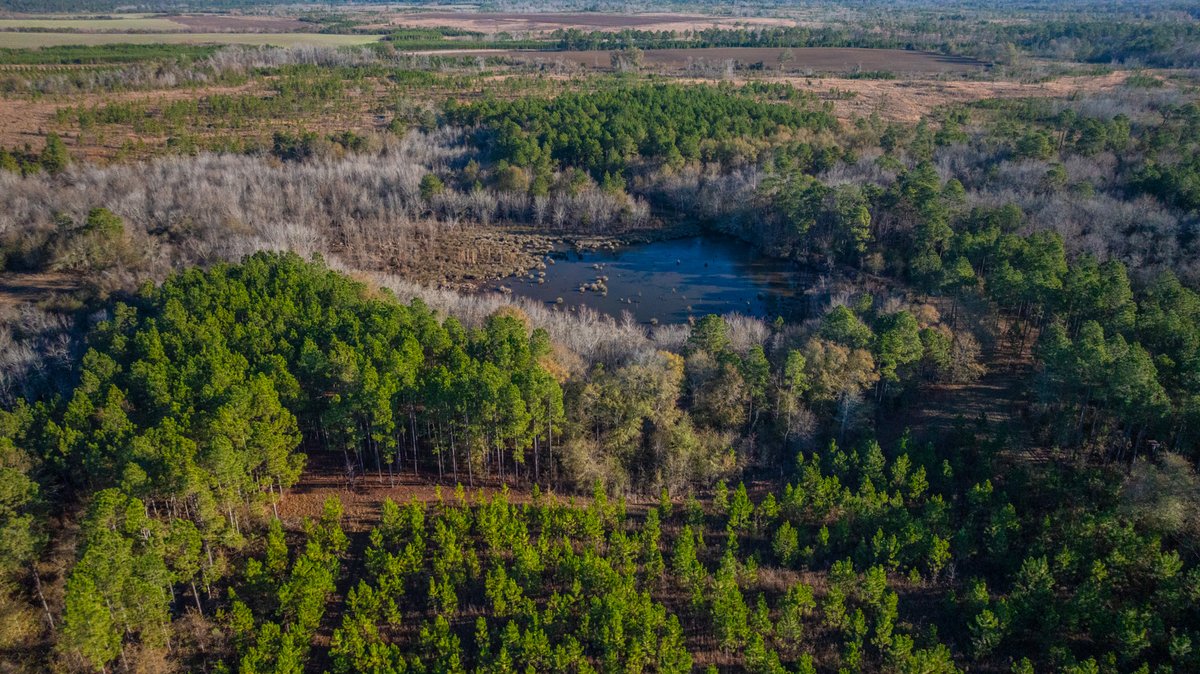 Image for 294+/- Acres – Hester Farm - Exceptional Hunting Opportunity - Versatile Farmland, Timber, & Ponds Offered Divided & as a Whole