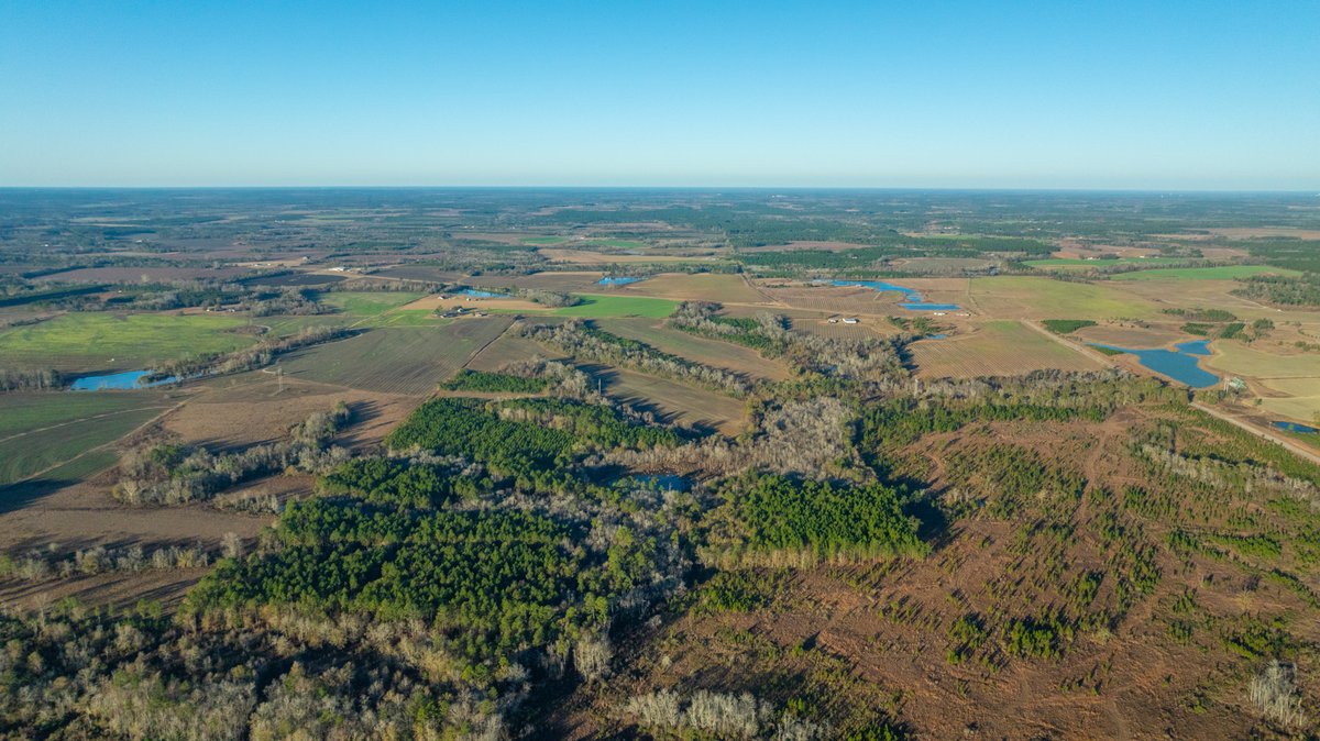 Image for 294+/- Acres – Hester Farm - Exceptional Hunting Opportunity - Versatile Farmland, Timber, & Ponds Offered Divided & as a Whole