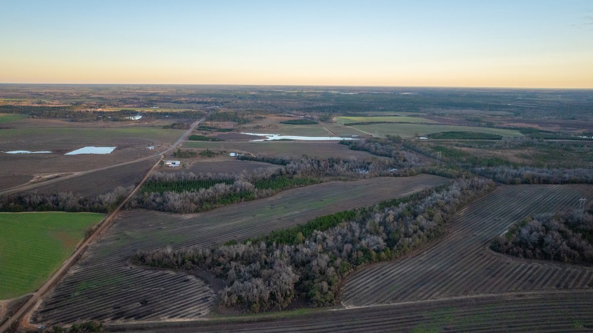 Image for 294+/- Acres – Hester Farm - Exceptional Hunting Opportunity - Versatile Farmland, Timber, & Ponds Offered Divided & as a Whole