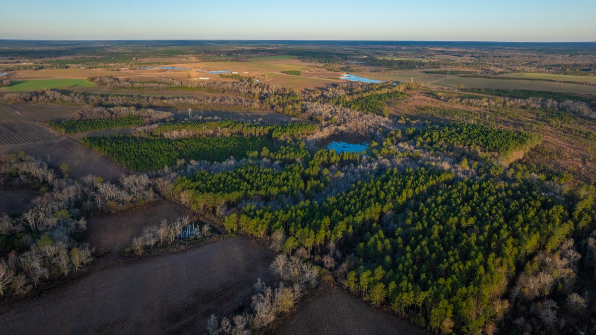 Image for 294+/- Acres – Hester Farm - Exceptional Hunting Opportunity - Versatile Farmland, Timber, & Ponds Offered Divided & as a Whole