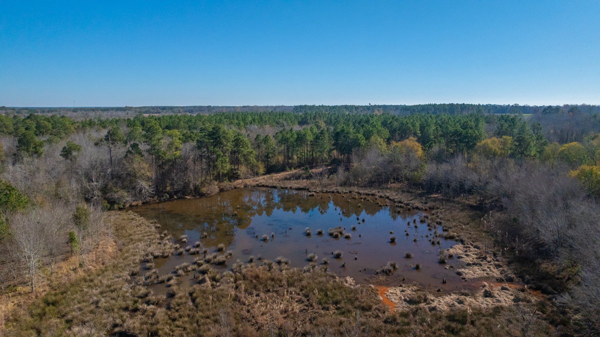Image for 294+/- Acres – Hester Farm - Exceptional Hunting Opportunity - Versatile Farmland, Timber, & Ponds Offered Divided & as a Whole