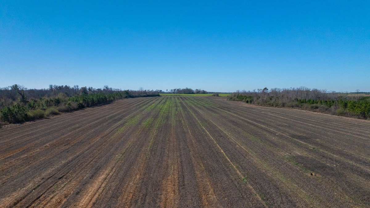 Image for 294+/- Acres – Hester Farm - Exceptional Hunting Opportunity - Versatile Farmland, Timber, & Ponds Offered Divided & as a Whole