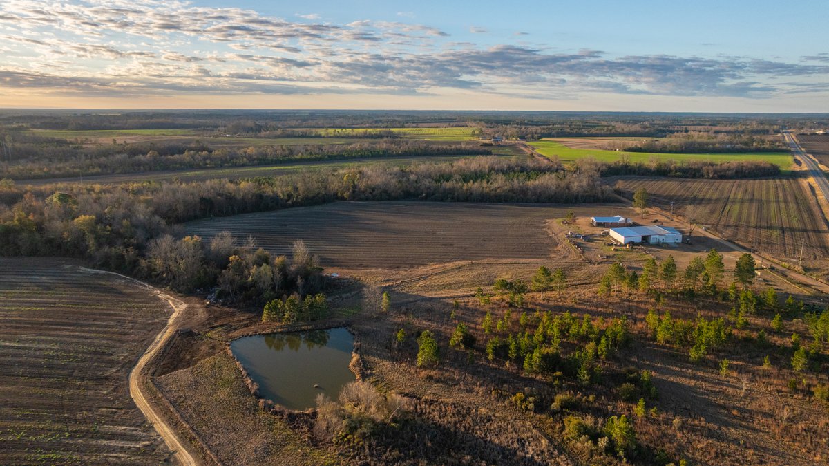 Image for 294+/- Acres – Hester Farm - Exceptional Hunting Opportunity - Versatile Farmland, Timber, & Ponds Offered Divided & as a Whole