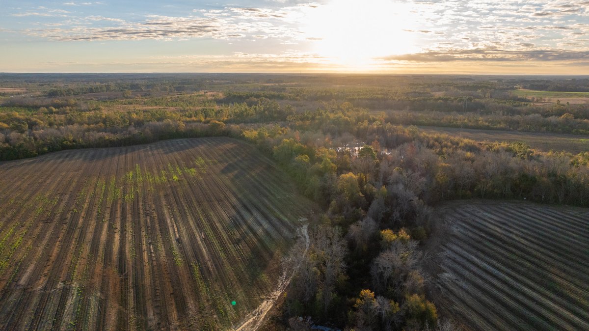 Image for 294+/- Acres – Hester Farm - Exceptional Hunting Opportunity - Versatile Farmland, Timber, & Ponds Offered Divided & as a Whole