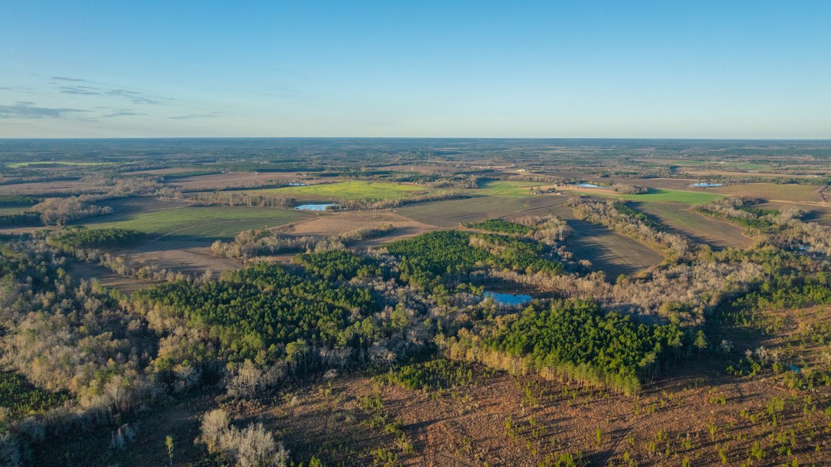 Image for 294+/- Acres – Hester Farm - Exceptional Hunting Opportunity - Versatile Farmland, Timber, & Ponds Offered Divided & as a Whole