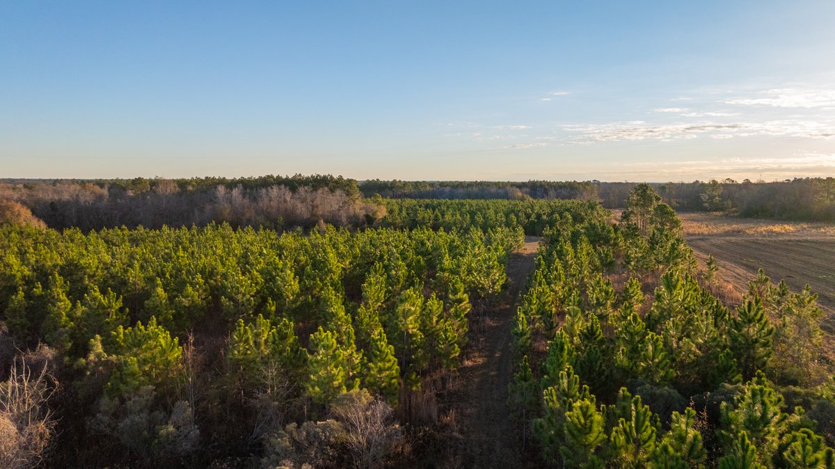 Image for 294+/- Acres – Hester Farm - Exceptional Hunting Opportunity - Versatile Farmland, Timber, & Ponds Offered Divided & as a Whole