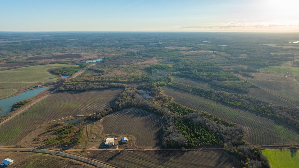 Image for 294+/- Acres – Hester Farm - Exceptional Hunting Opportunity - Versatile Farmland, Timber, & Ponds Offered Divided & as a Whole