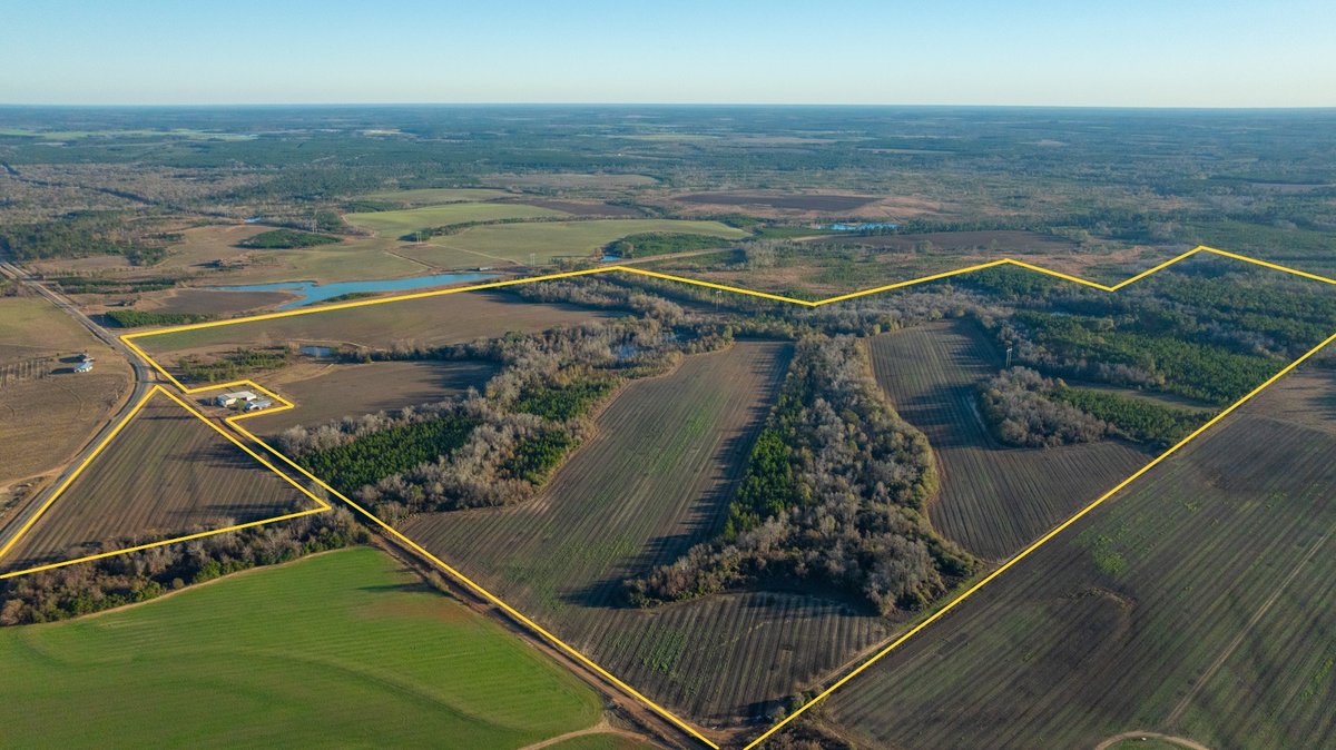 Image for 294+/- Acres – Hester Farm - Exceptional Hunting Opportunity - Versatile Farmland, Timber, & Ponds Offered Divided & as a Whole