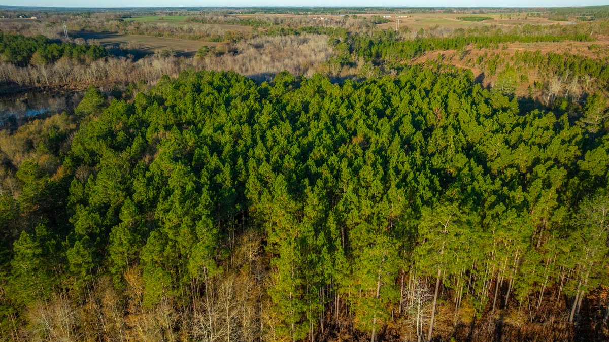 Image for 294+/- Acres – Hester Farm - Exceptional Hunting Opportunity - Versatile Farmland, Timber, & Ponds Offered Divided & as a Whole