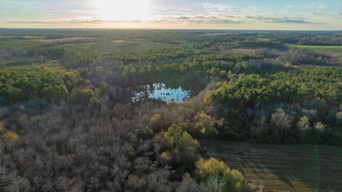 Image for 294+/- Acres – Hester Farm - Exceptional Hunting Opportunity - Versatile Farmland, Timber, & Ponds Offered Divided & as a Whole