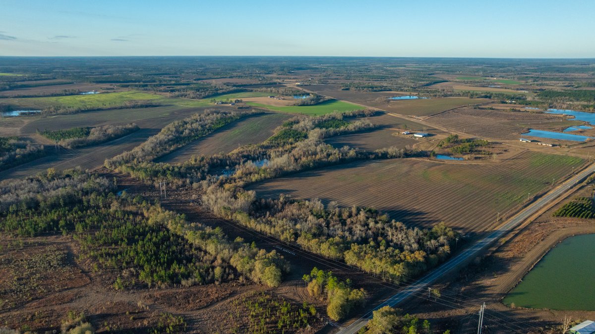 Image for 294+/- Acres – Hester Farm - Exceptional Hunting Opportunity - Versatile Farmland, Timber, & Ponds Offered Divided & as a Whole