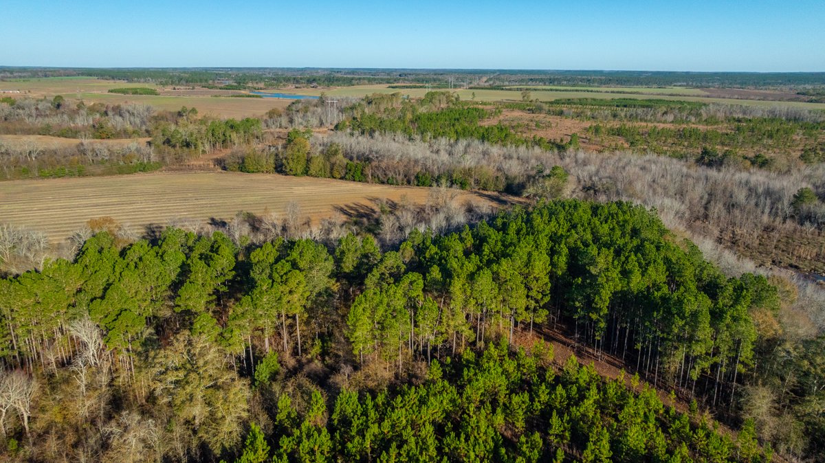 Image for 294+/- Acres – Hester Farm - Exceptional Hunting Opportunity - Versatile Farmland, Timber, & Ponds Offered Divided & as a Whole