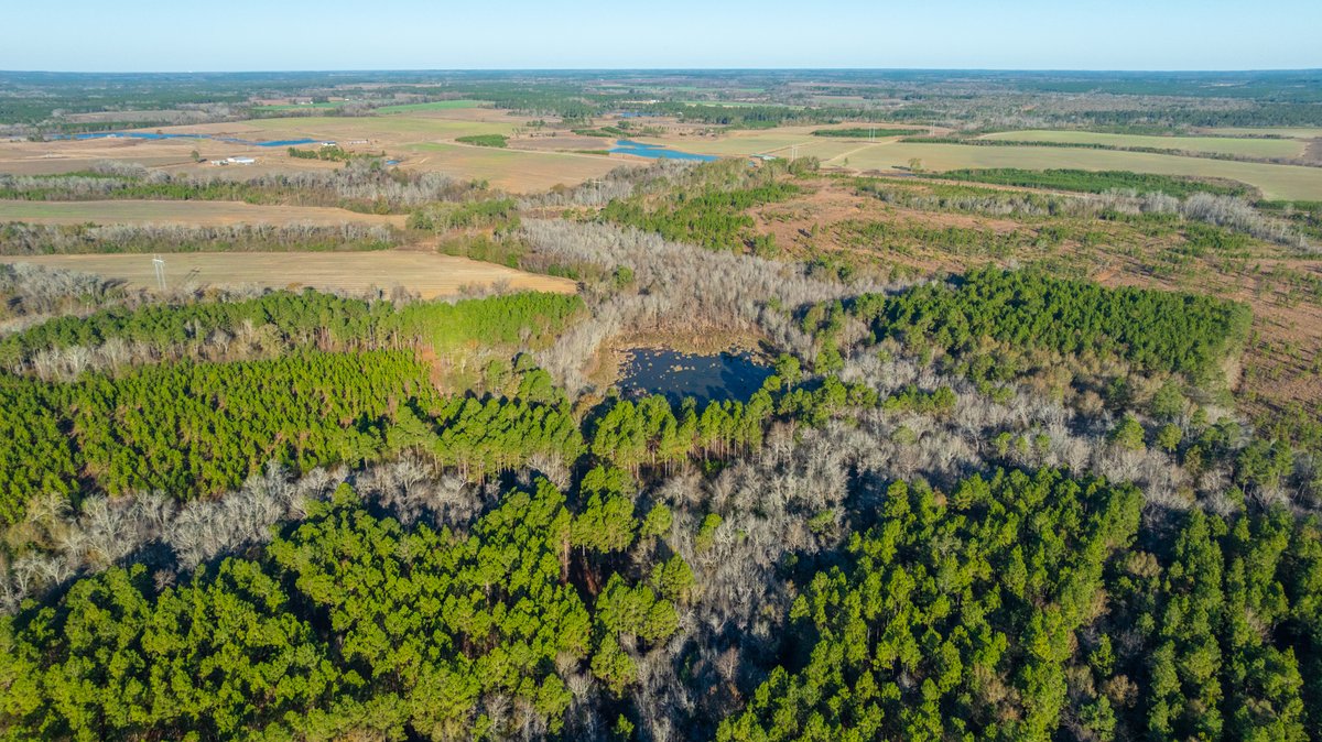 Image for 294+/- Acres – Hester Farm - Exceptional Hunting Opportunity - Versatile Farmland, Timber, & Ponds Offered Divided & as a Whole