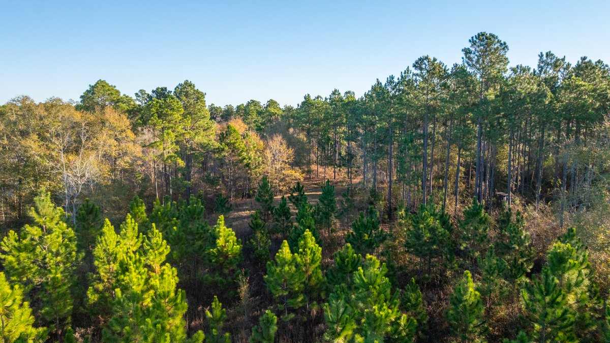 Image for 294+/- Acres – Hester Farm - Exceptional Hunting Opportunity - Versatile Farmland, Timber, & Ponds Offered Divided & as a Whole