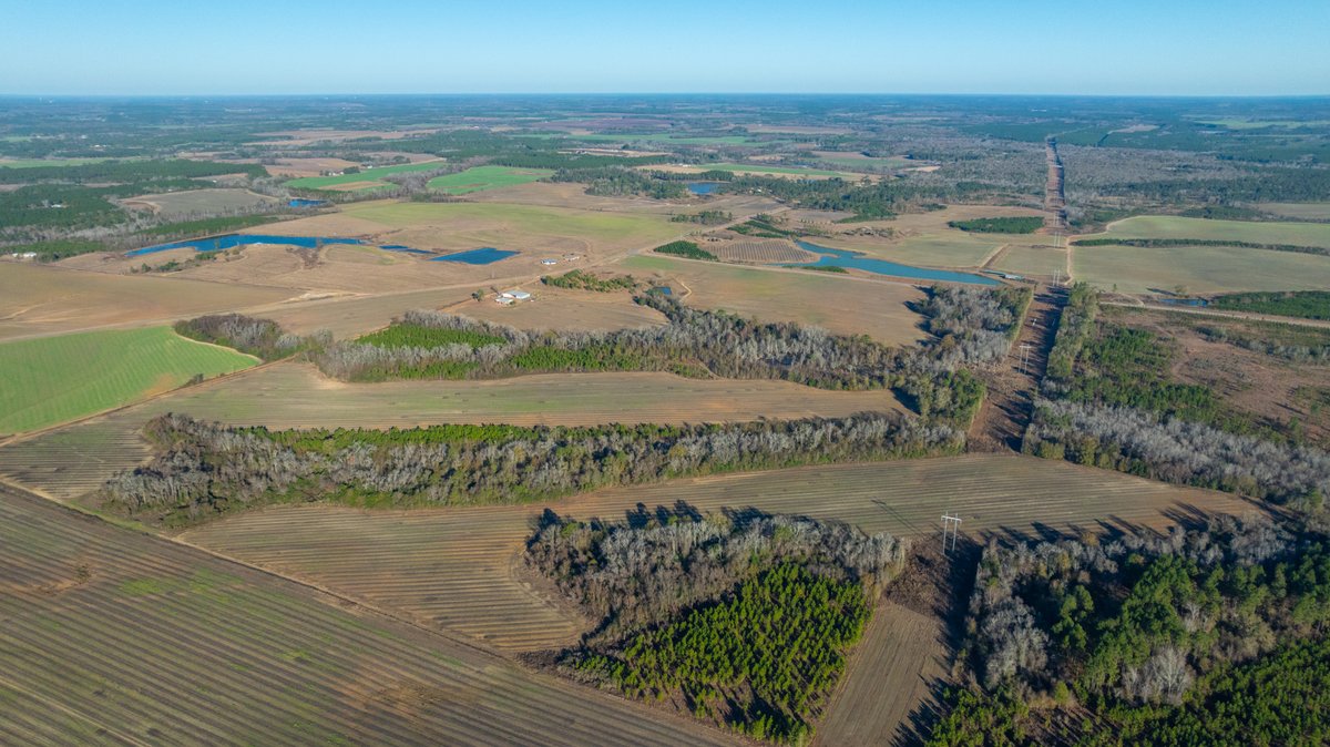 Image for 294+/- Acres – Hester Farm - Exceptional Hunting Opportunity - Versatile Farmland, Timber, & Ponds Offered Divided & as a Whole
