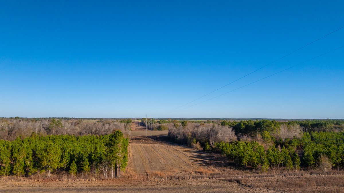 Image for 294+/- Acres – Hester Farm - Exceptional Hunting Opportunity - Versatile Farmland, Timber, & Ponds Offered Divided & as a Whole