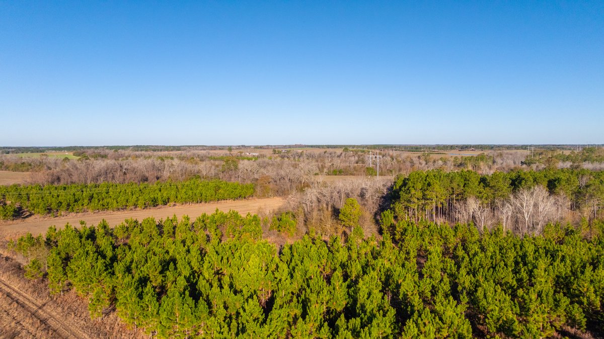 Image for 294+/- Acres – Hester Farm - Exceptional Hunting Opportunity - Versatile Farmland, Timber, & Ponds Offered Divided & as a Whole