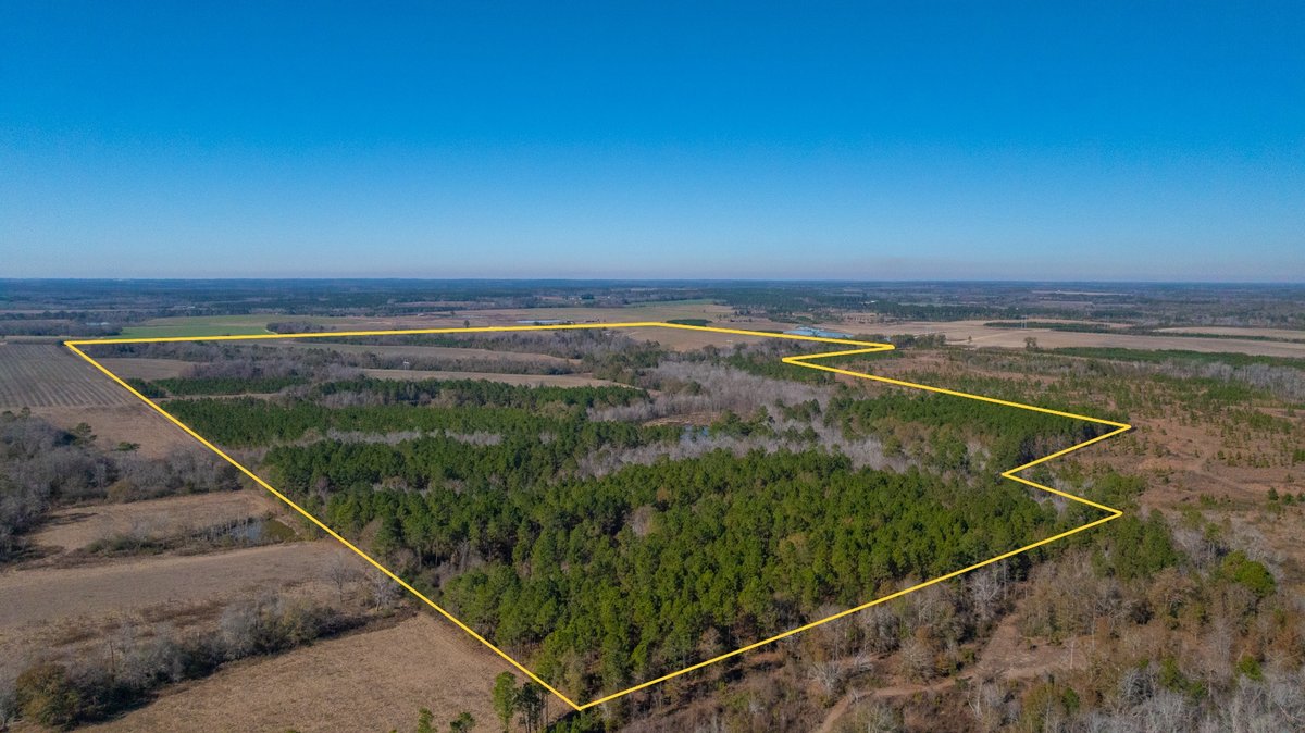 Image for 294+/- Acres – Hester Farm - Exceptional Hunting Opportunity - Versatile Farmland, Timber, & Ponds Offered Divided & as a Whole